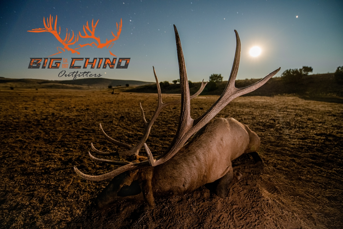 Trophy Elk Hunts Arizona